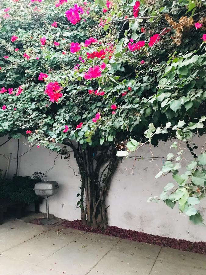 פראייה Syds Beach House מראה חיצוני תמונה